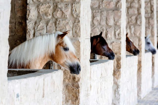 <p>DAVID BERRIDGE/COURTESY OF AL SAMRIYA</p> The stables at Al Samriya.