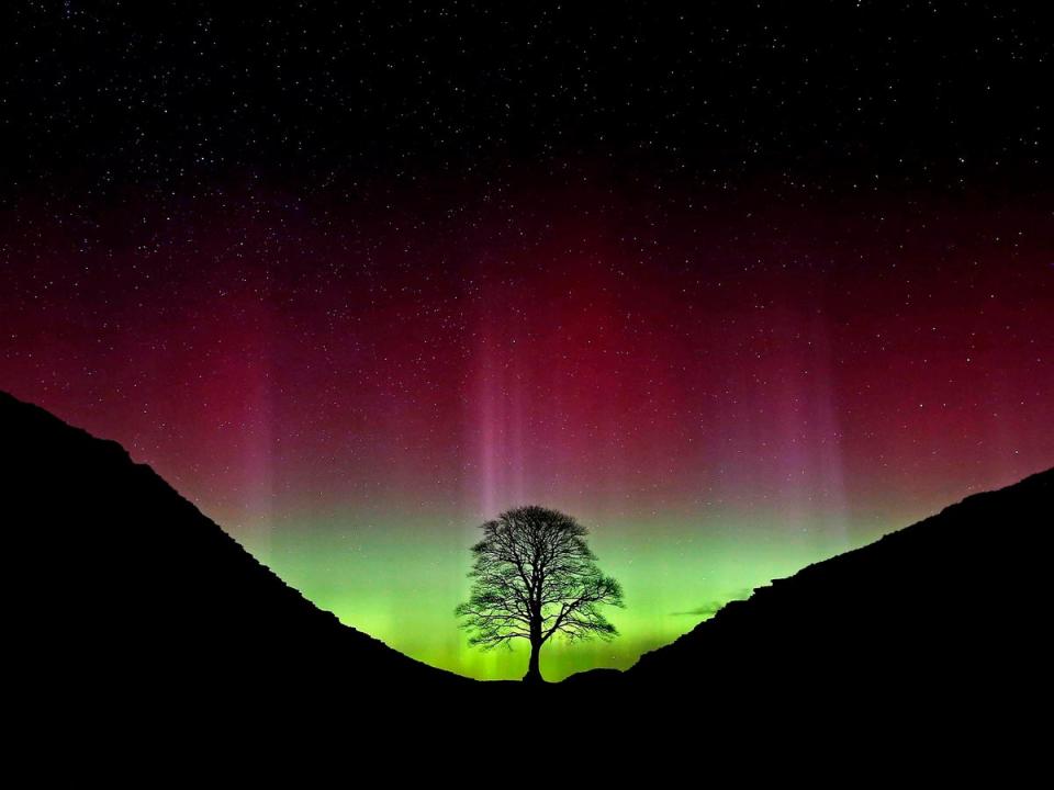 The beautiful colours of light shining through the Sycamore Gap at Hadrian's Wall in Northumberland (PA)