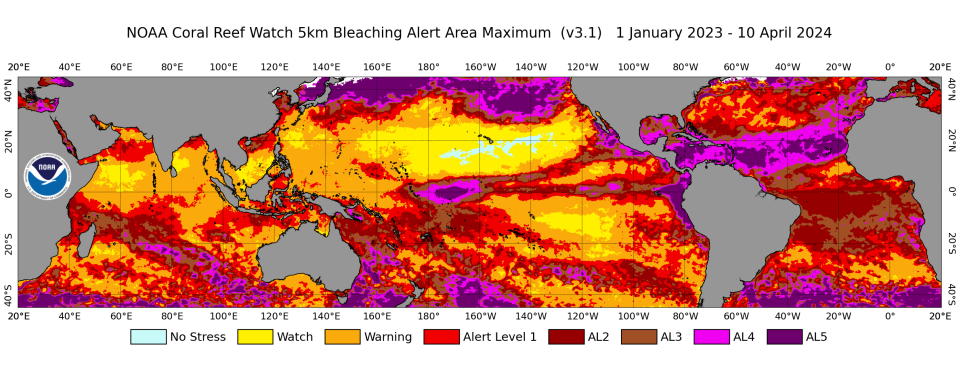 This map from the NOAA Coral Reef Watch global satellite reveals regions with high levels of marine heat stress between January 1, 2023 and April 10, 2024. Heat stress can trigger coral bleaching events by interfering with the photosynthesis of algae that live in corals.