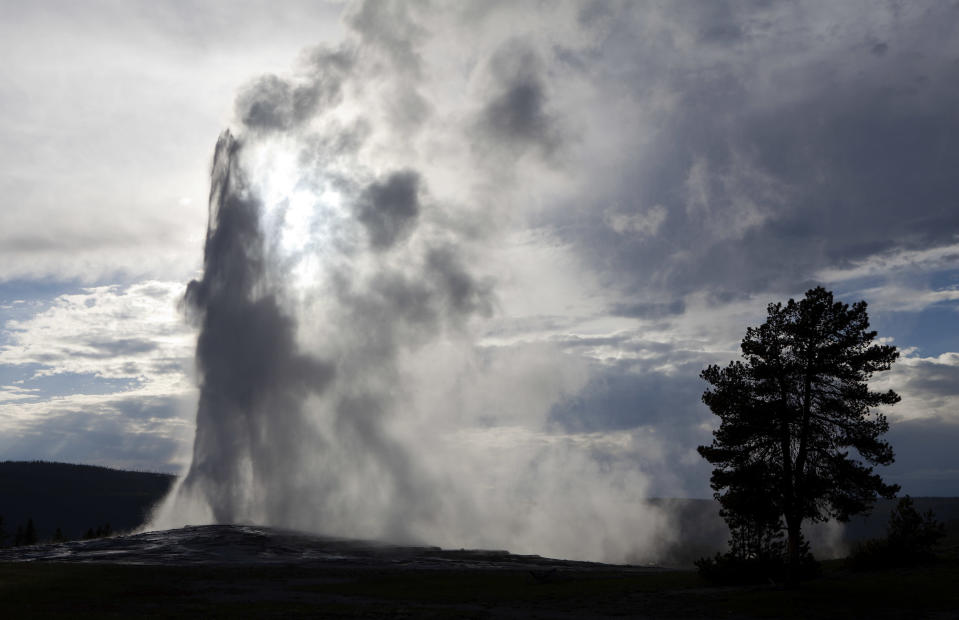 Old Faithful Geyser, the first geyser in the park to be named erupts in Yellowstone National Park, Wyoming, June 22, 2011. Currently the geyser erupts approximately every 90 minutes. REUTERS/Jim Urquhart