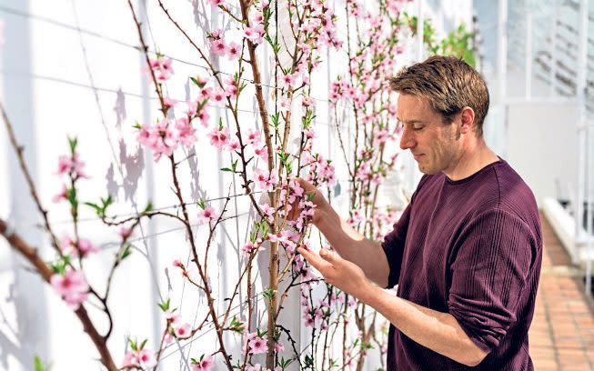 Two hours to spare? These easy jobs will transform your garden - Andrew Crowley 