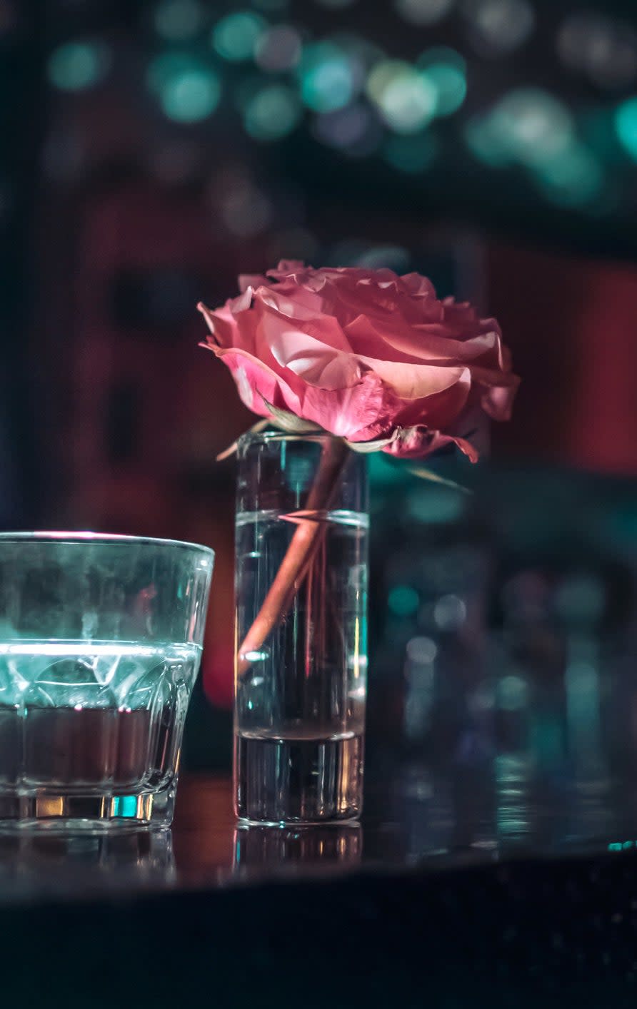 rose and glass at bar