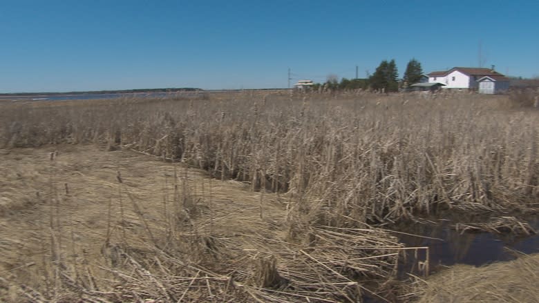 Coastal protection top of mind at Northumberland Strait meeting