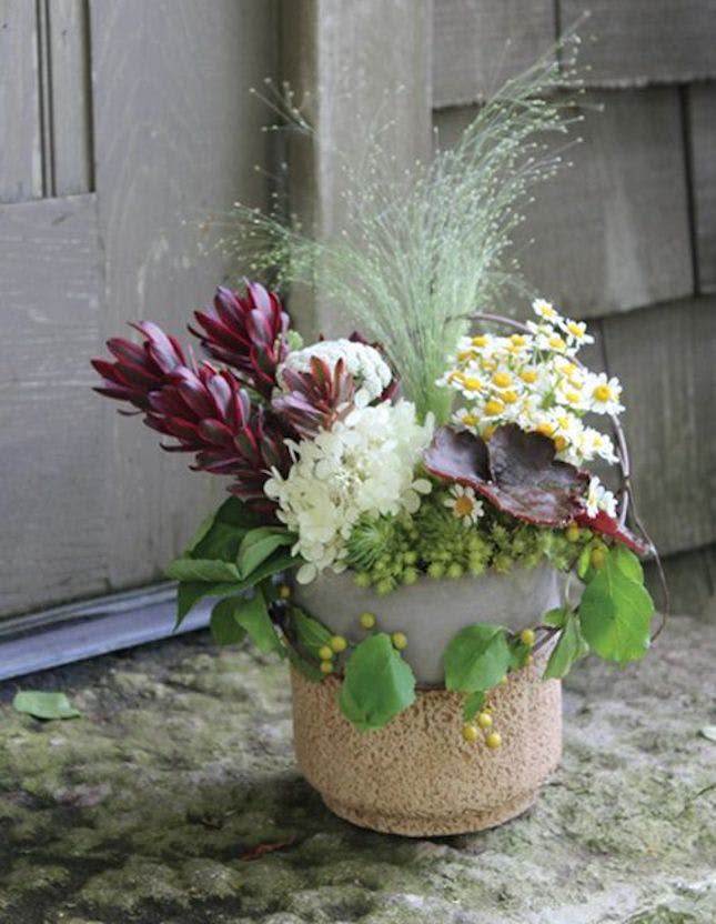 Syndicate Home & Garden Modern Cork Planter