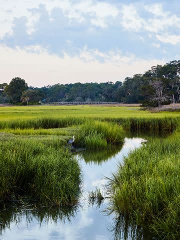 <p>PETER FRANK EDWARDS</p> Local waterways lined with native spartina grass