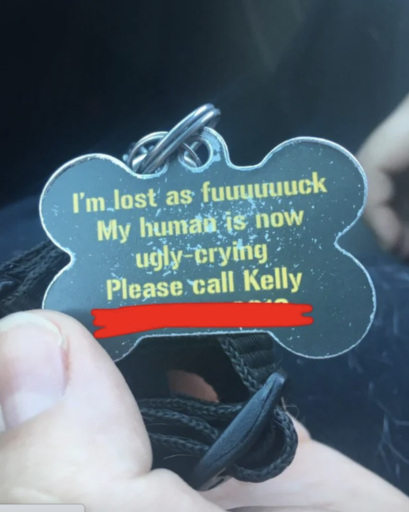 i'm lost as fuck, my human is now ugly crying please call kelly