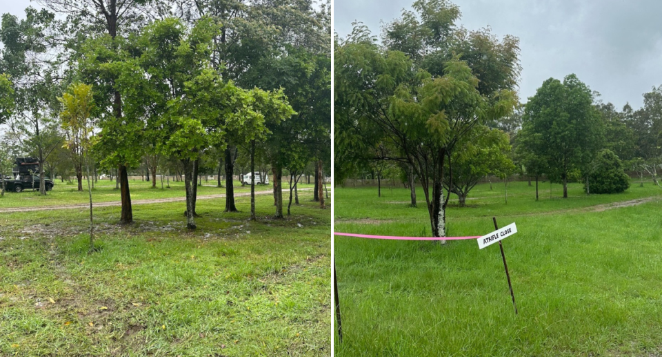 Photos of empty campsites after The Woodford Folk Festival with green grass and no litter.