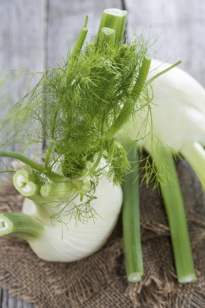 Fennel is an ungainly vegetable to chop. This video shows you the best way to chop, slice, dice and shave your fennel. Don't waste your fennel's fronds - use the stalks like celery and the feathery leaves in the place of dill.