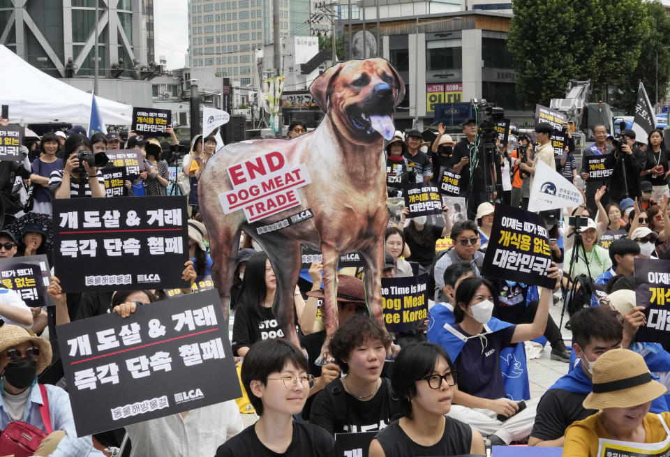 Animal rights activists stage a rally opposing South Korea's traditional culture of eating dog meat in Seoul, South Korea, Saturday, July 8, 2023. Dog meat consumption, a centuries-old practice on the Korean Peninsula, isn't explicitly prohibited or legalized in South Korea. But more and more people want it banned, and there's increasing public awareness of animal rights and worries about South Korea’s international image. (AP Photo/Ahn Young-joon)