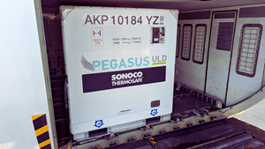 Pegasus ULD in Cargo Hold
