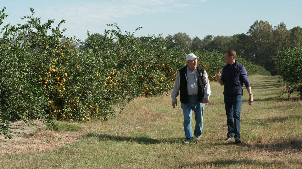 In the middle of Georgia, Joe Franklin's 78-acre citrus farm is growing fruit you'd normally expect to find hundreds of miles south in Florida. 