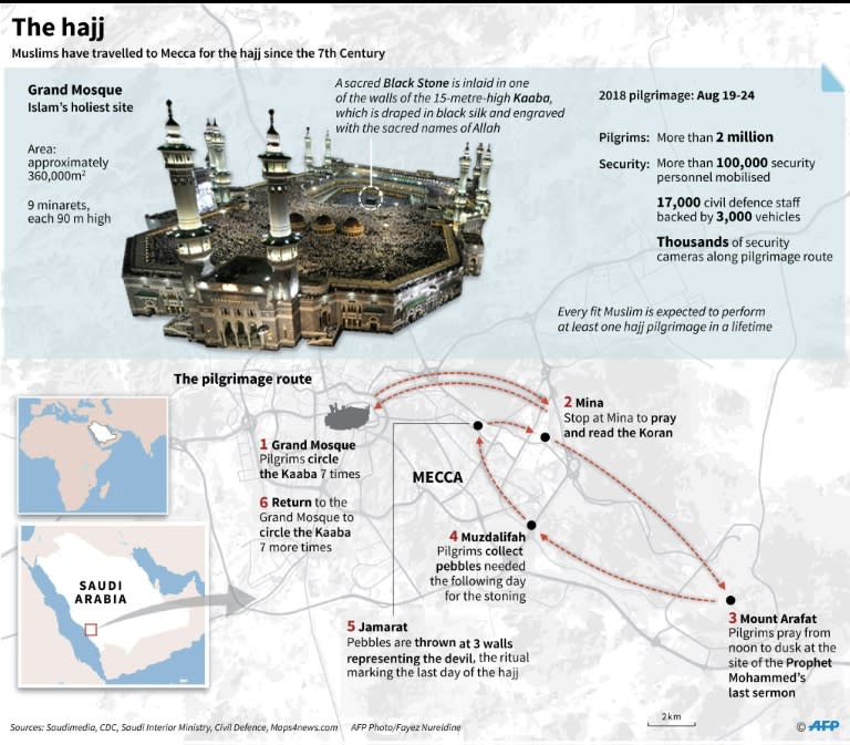 Graphic on the annual hajj