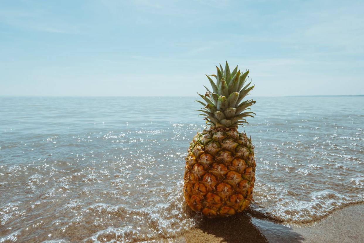 a pineapple sitting on a beach shore during the day