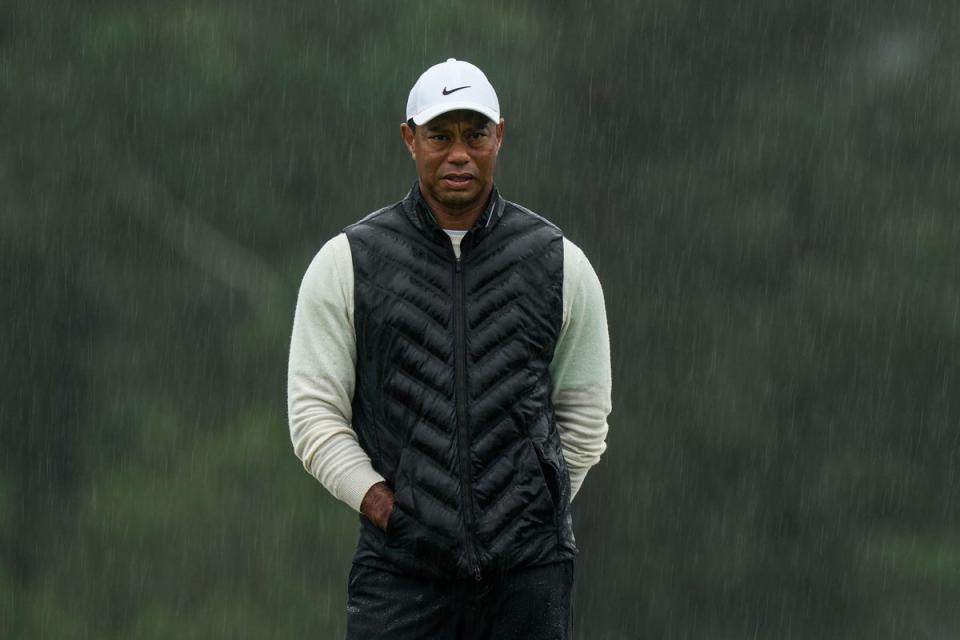 Tiger Woods has had successfil ankle surgery (Charlie Riedel/AP) (AP)
