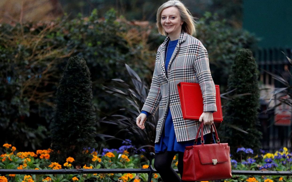 Liz Truss, the International Trade Secretary - PETER NICHOLLS/REUTERS