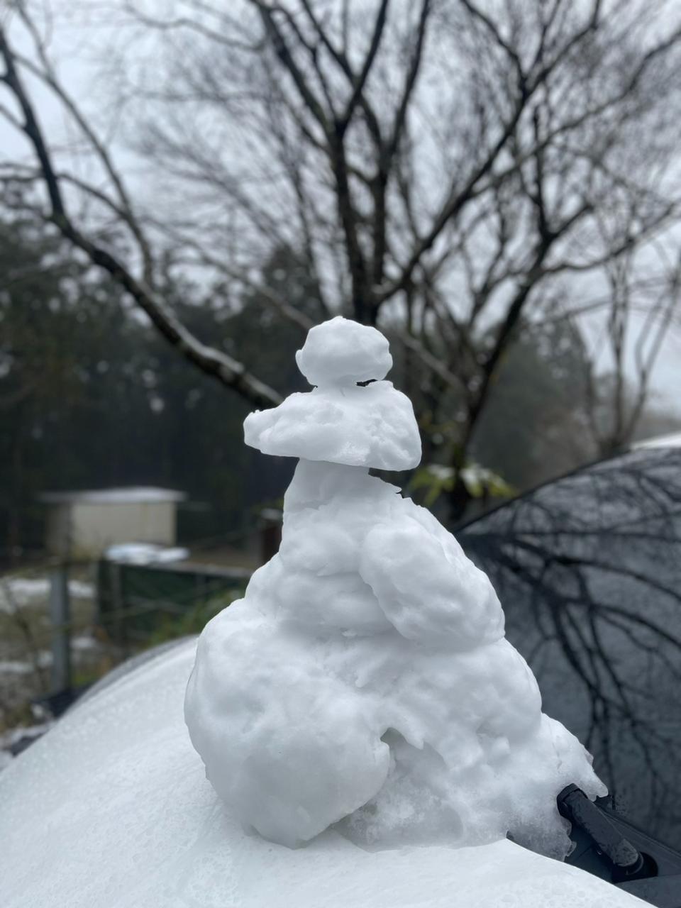 新北市三峽地區23日飄下瑞雪，銀白世界絕美。三峽警分局提供