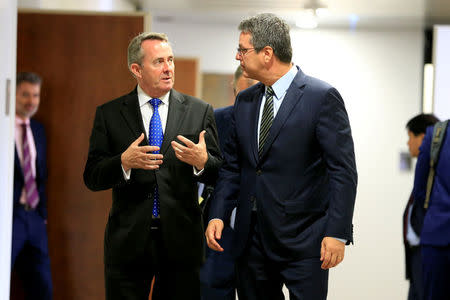 FILE PHOTO: Roberto Azevedo (R), Director-General of the World Trade Organisation (WTO), greets Britain's International Trade Secretary Liam Fox (L) before a meeting in Geneva, Switzerland, September 27, 2016. REUTERS/Pierre Albouy/File Photo