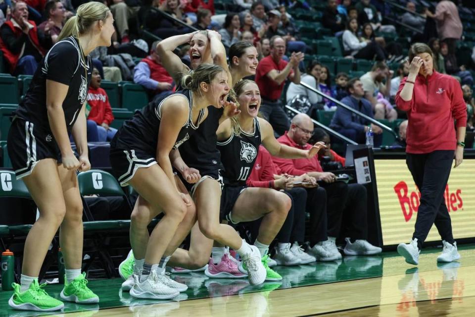 Players on Davidson’s bench celebrate a three-point shot during the game against UNC-Charlotte at Halton Arena on Thursday, December 21, 2023. Davidson’s victory is their ninth win in a row and the best start to a season in the program’s history.