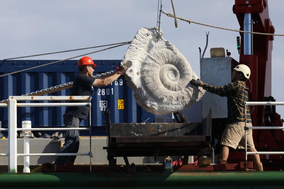 Greenpeace has targeted an area of seabed off the coast of Cornwall in an attempt to block what it describes as ‘destructive industrial fishing’ (Kristian Buus/Greenpeace) (PA Media)