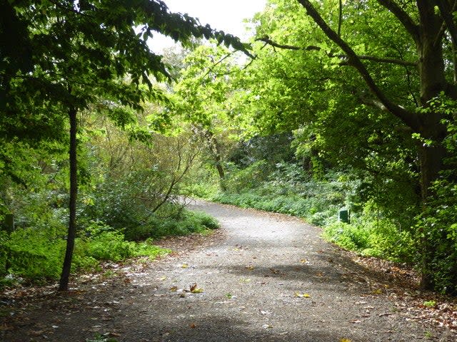 The stabbing is understood to have taken place in Hackney Marshes, east London (Chris Allen)