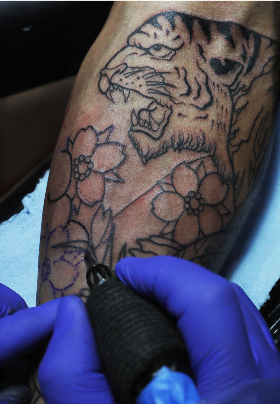 In this April 15, 2019 photo, Liz Ruiz has the tattoo of a tiger inked on her arm at the Corona Tattoo parlor in Mexico City. "Every animal has a meaning but when you find the most beautiful animal in the world, his beauty, strength, royalty and freedom, you will understand the significance behind the tiger tattoo." Ruiz said. (AP Photo/Marco Ugarte)