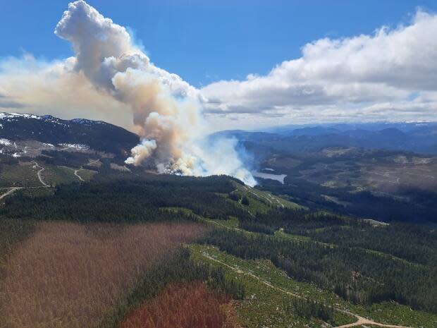 B.C. Wildfire Service