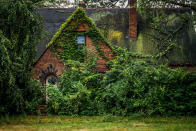 <p>Abandoned overgrown fairy house in Ohio. (Photo:Johnny Joo/Caters News) </p>