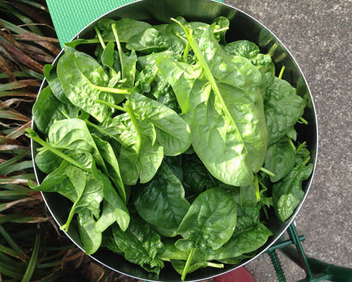 Powerhouse fruit and vegetables: Spinach