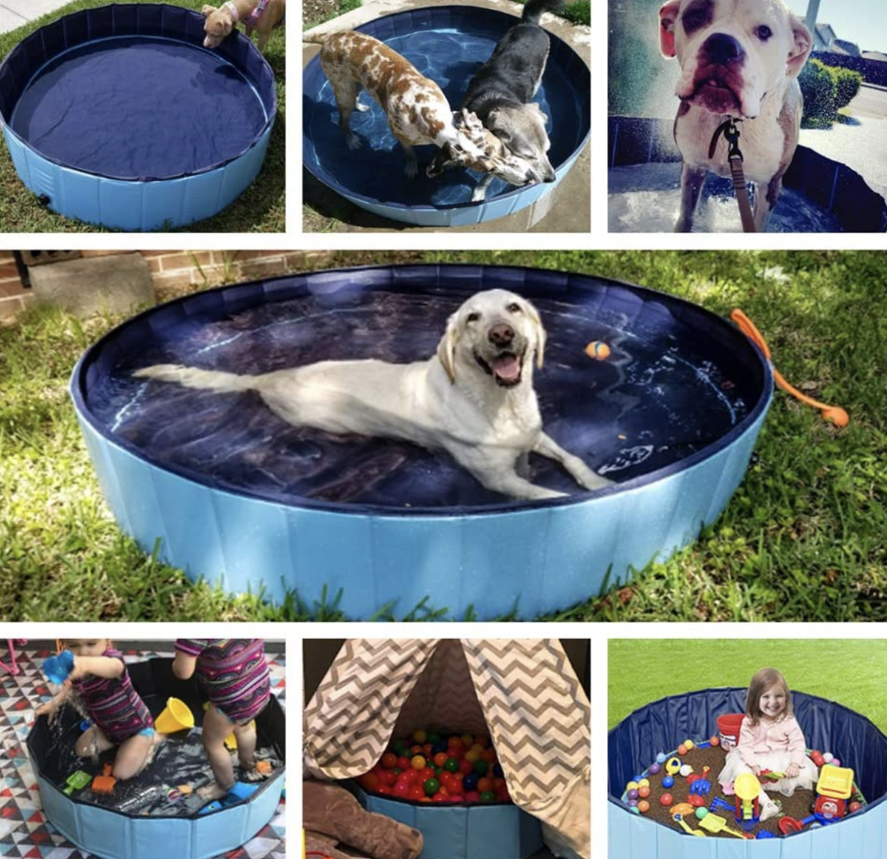 A grid of photos of dogs and children in collapsible pools.