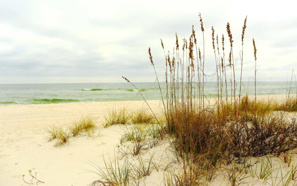 Mississippi — Davis Bayou Campground, Gulf Islands National Seashore