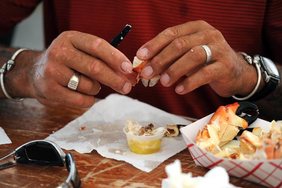 Under the shade of a white tent, people enjoyed the messy but delicious stone crabs at the Cortez Stone Crab Festival held in Cortez Village.