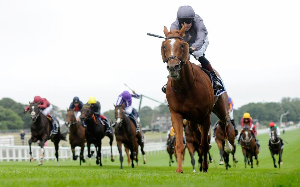 Serpentine and Emmet McNamara win the Derby at Epsom  - GETTY IMAGES