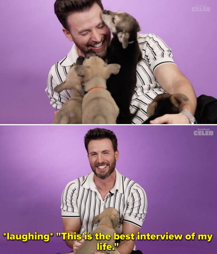 Chris laughing and saying "This is the best interview of my life"