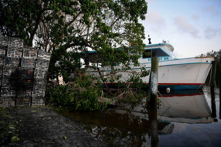 A fishing boat rests in a tree in Everglades City, Florida, U.S., September 11, 2017. REUTERS/Bryan Woolston