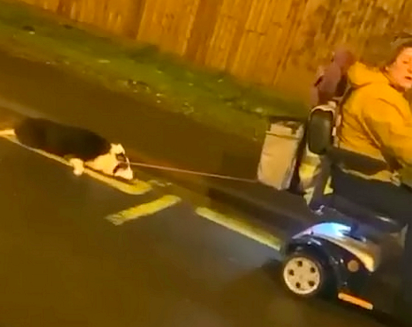 The woman was seen dragging the dog behind her mobility scooter. (SWNS)