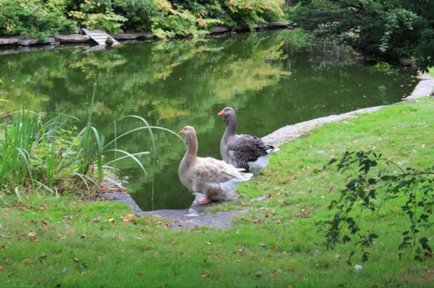 The Friends of the Public Gardens