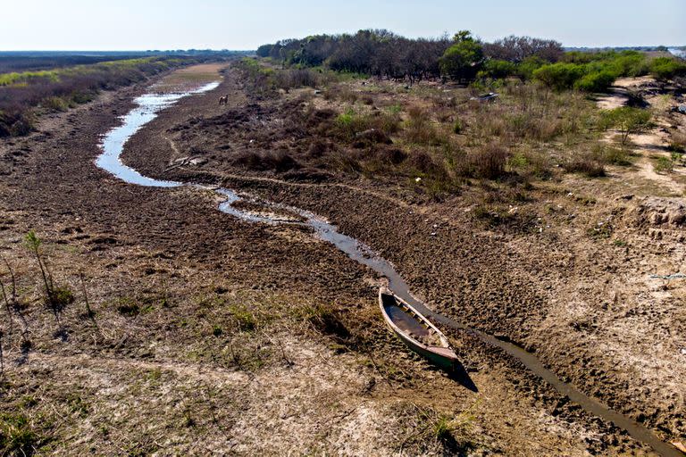 En la zona de humedales entre Rosario y Victoria se aprecia la bajante del río Paraná