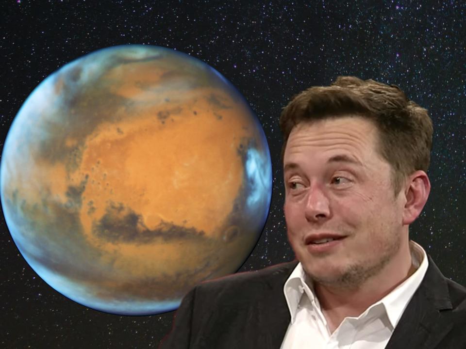 elon musk mars