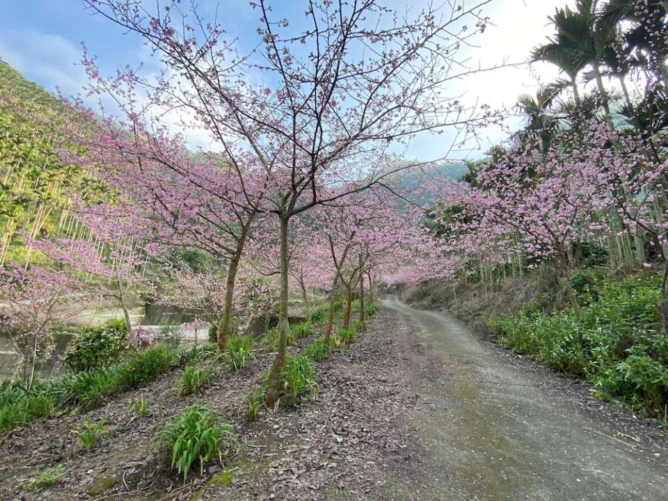 （圖片來源：雲林縣政府）