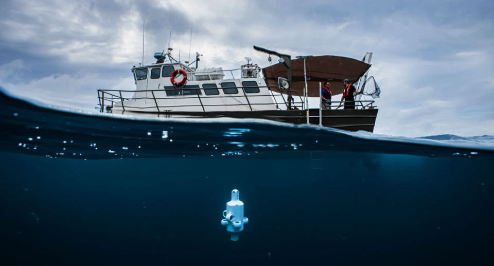 Robotics company Advanced Navigation's charter boat is pictured here with drone Hydrus, after discovering an old shipwreck off Rottnest Island. 