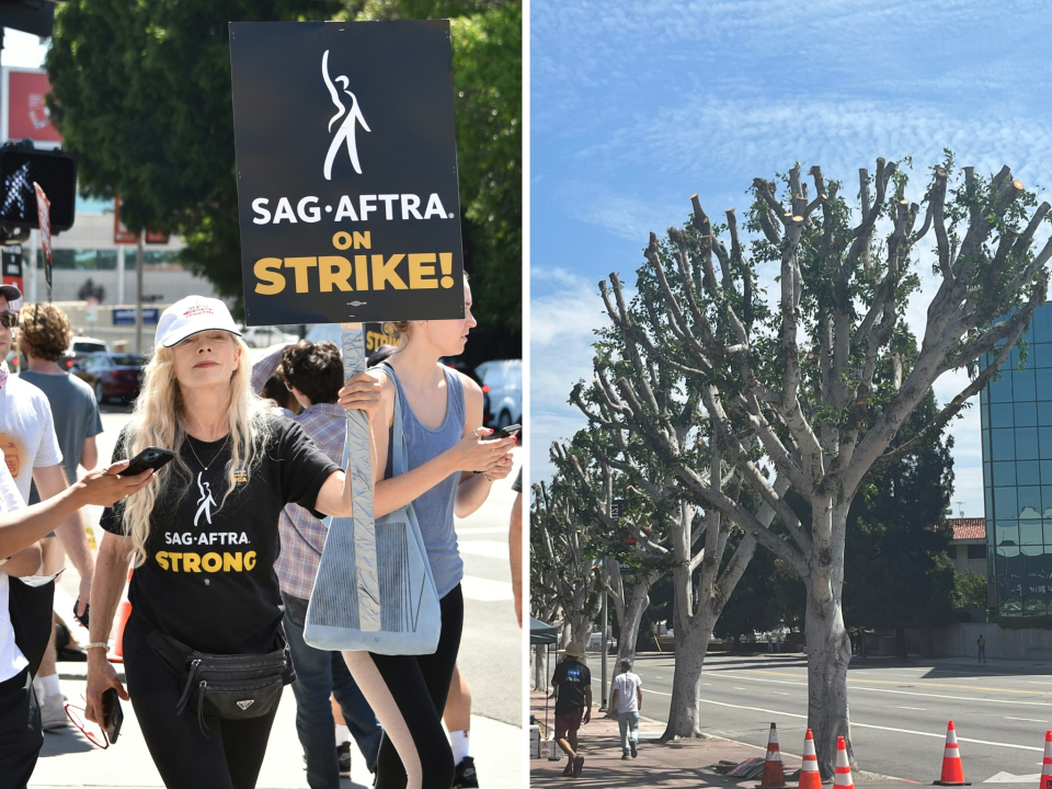 Los Angeles strike and trimmed trees (Getty Images and Twitter)