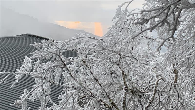 宜蘭太平山日前降雪引發一波追雪潮。（圖／資料照片／遊客提供）