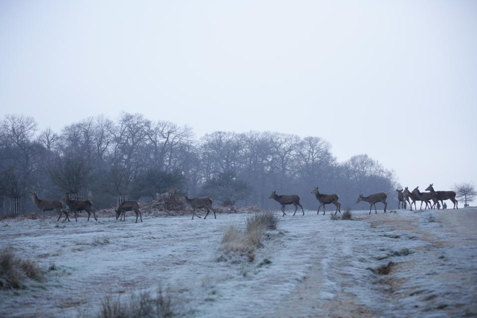 In pictures: Frozen Britain as temperatures plunge to -7C on coldest day of 2020