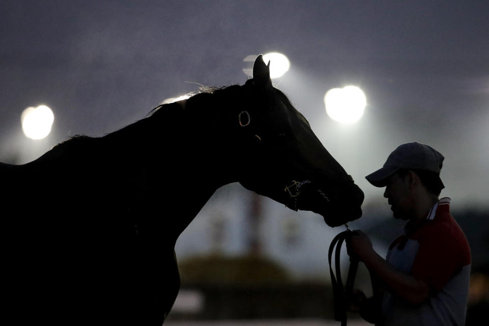 A horse gets a bath after an early-morning workout at Churchill Downs Thursday, May 2, 2019, in Louisville, Ky. The 145th running of the Kentucky Derby is scheduled for Saturday, May 4. (AP Photo/Charlie Riedel)