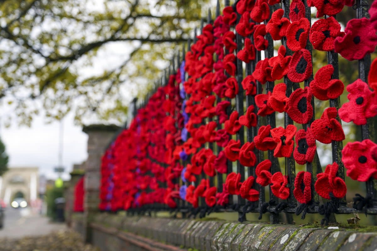 Remembrance Sunday takes place on Saturday, November 11 this year (Steve Parsons / PA Archive)