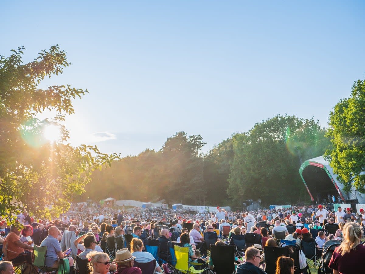 The Delamere Stage at Forest Live (Paul Dulac)