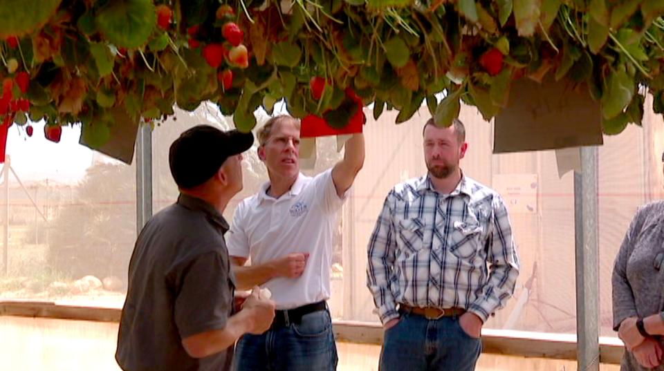 Dr. Yuval Kay, director of Vegetable Research at the Ramat HaNegev Research and Development Center in Israel, shows the innovative way strawberries are grown in harsh desert conditions to Washington County Water Conservancy District General Manager Zach Renstrom, center, and Rep. Casey Snider, R-Paradise, on Tuesday, March 28, 2023. | Ben Winslow, FOX 13 News