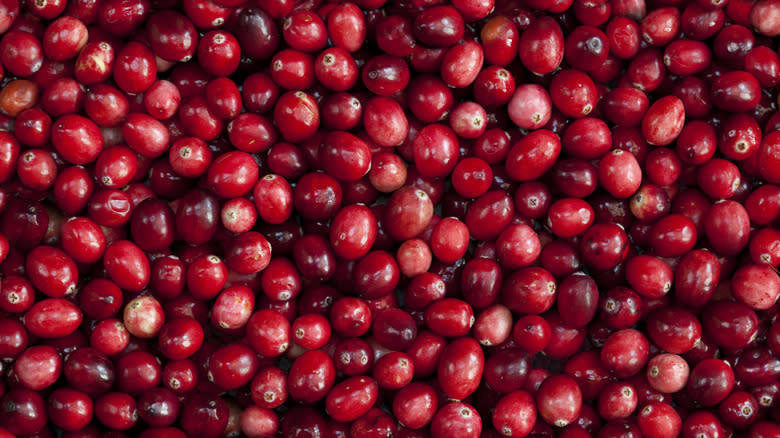 Closeup of fresh cranberries