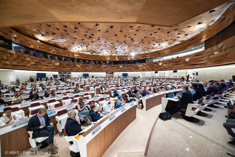 Una de las reuniones en el Palacio de las Naciones, en Ginebra, Suiza, durante la 77° Asamblea Mundial de la Salud