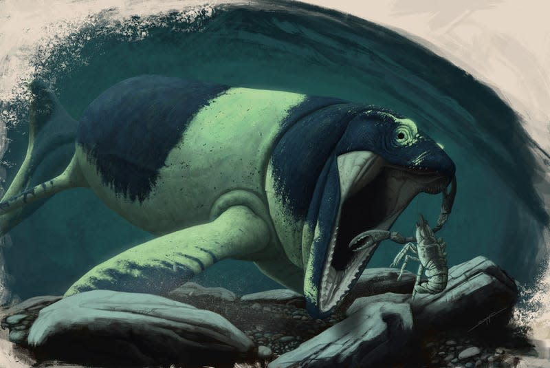 Paleoart representing the mosasaur Latoplatecarpus